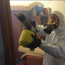 Уничтожение клопов в квартире. Хорошёво